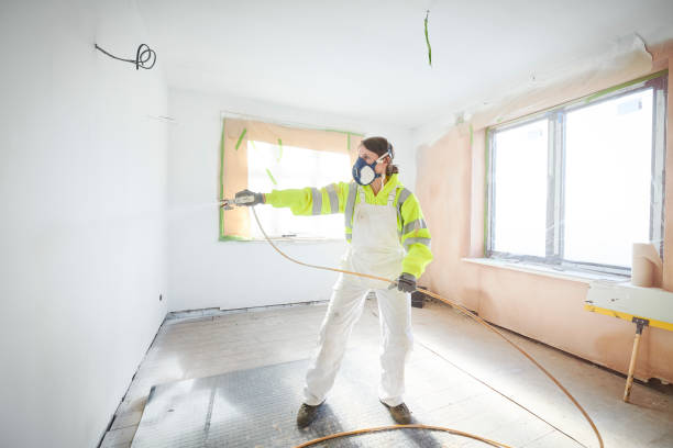  Cohoes, NY Mold Removal Pros