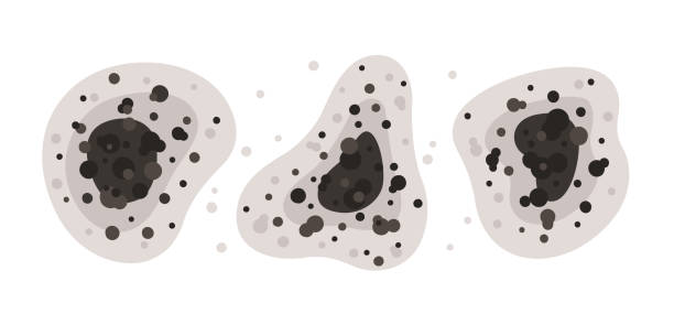 Best Air Quality Testing for Mold Spores  in Cohoes, NY