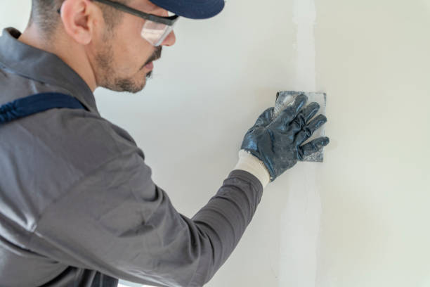 Best Basement Mold Removal  in Cohoes, NY