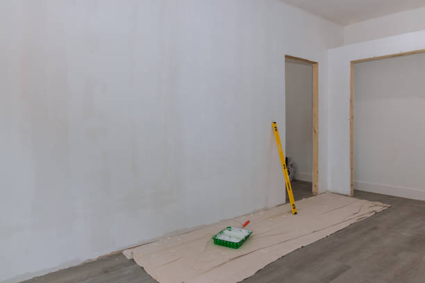 Best Post-Construction Mold Inspection  in Cohoes, NY
