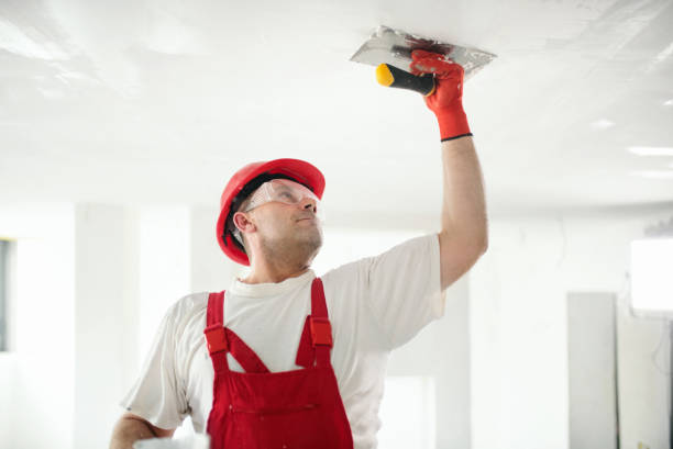 Best Environmental Consulting for Mold Prevention  in Cohoes, NY