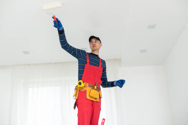 Best Comprehensive Air Testing for Mold Contaminants  in Cohoes, NY