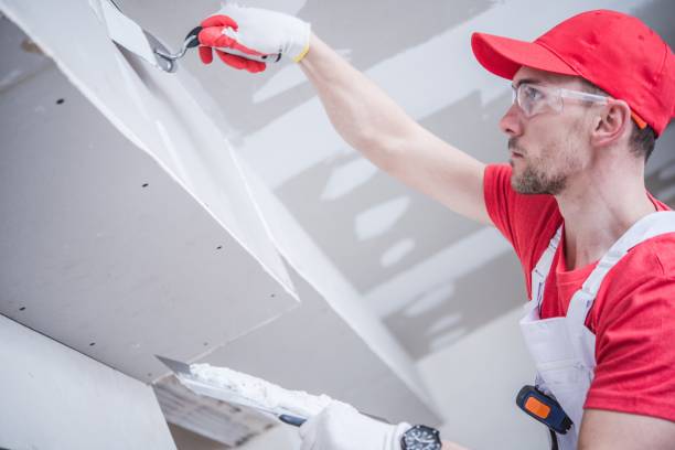 Best Asbestos and Lead Testing During Mold Inspection  in Cohoes, NY